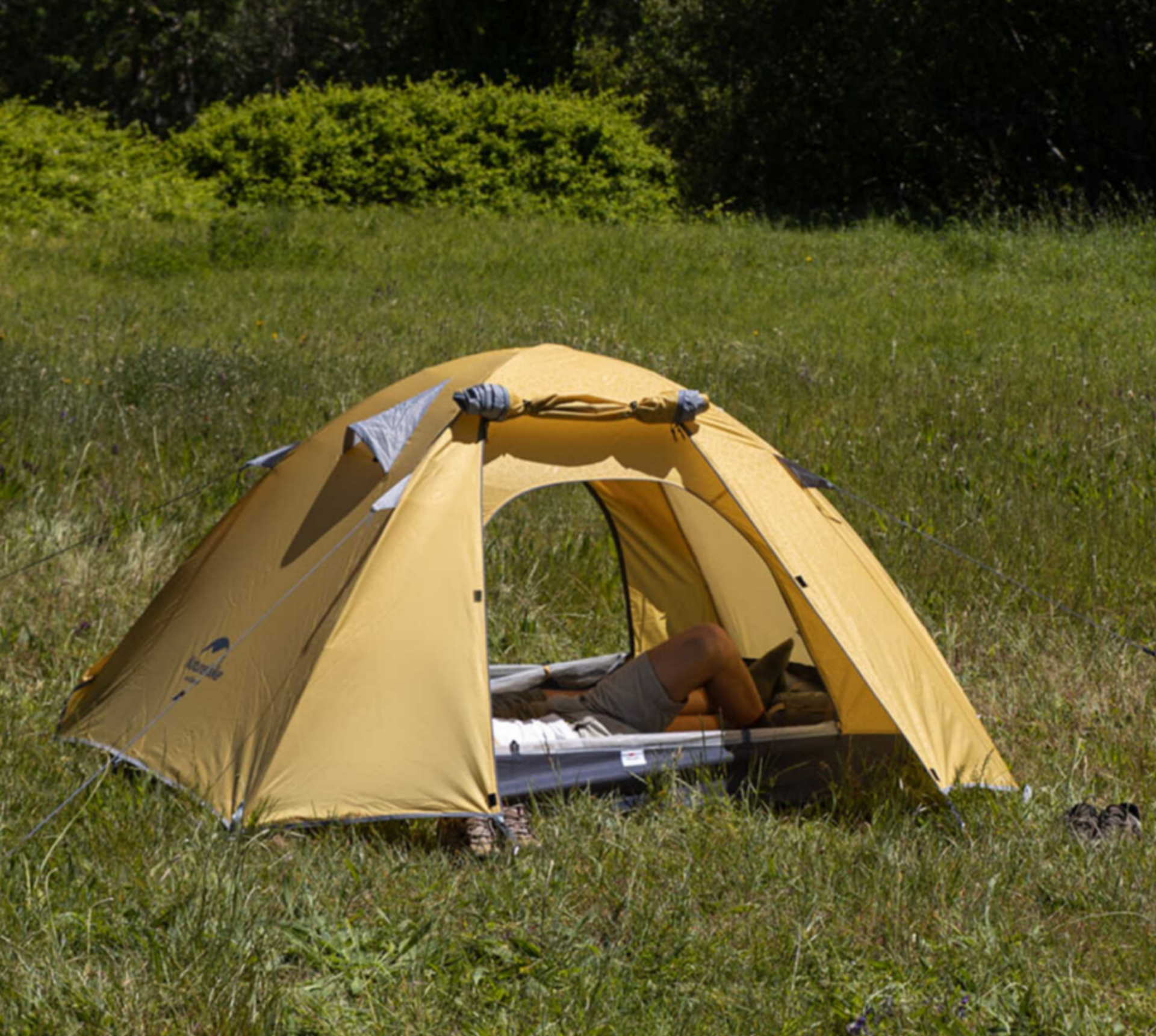Изображение Палатка Naturehike P-series 3 и 4 местная (синяя и зеленая)